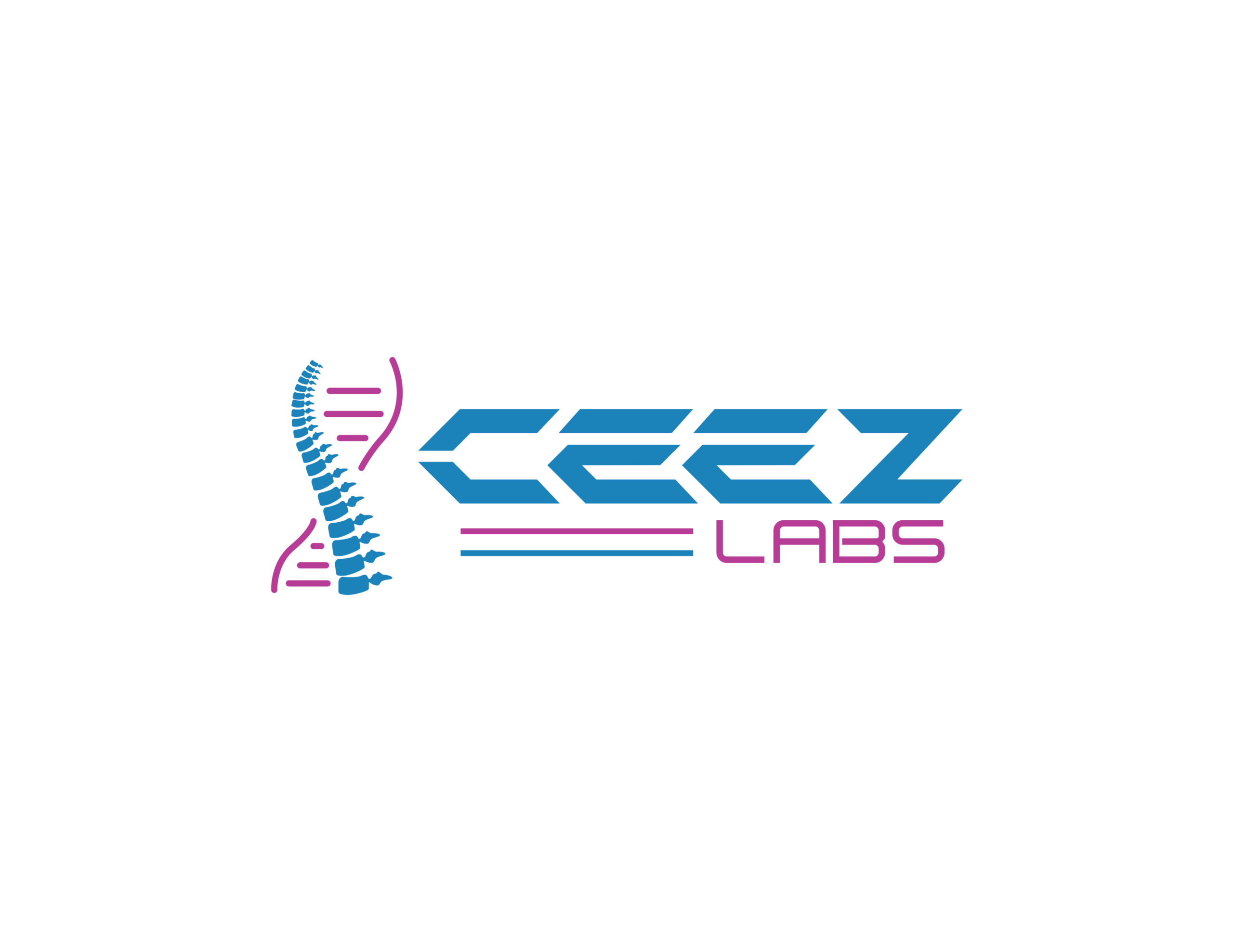 ceezlabs.com